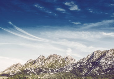 服务器攻击软件